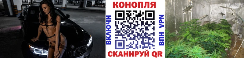 Бошки марихуана Amnesia Поворино